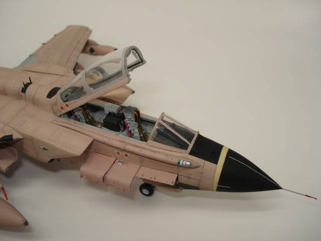 [HASEGAWA] TORNADO IDS  1/72 - Page 5 DSC09308