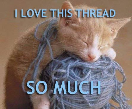 LOLCATS awesomeness LOVETHISTHREAD