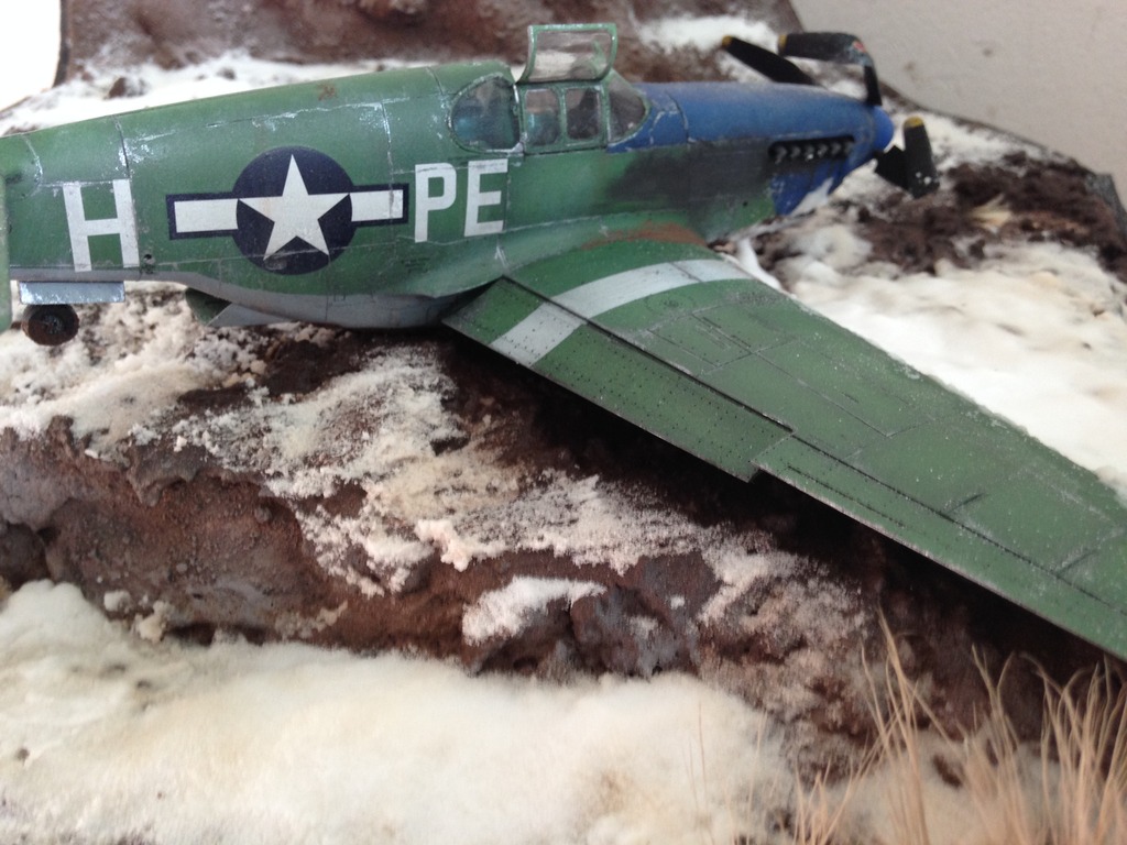 P51 écrasé dans les Ardennes 1/48 IMG_0348_zpsi58um0ne