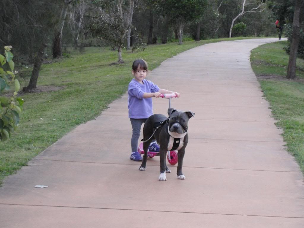 off leash jeckle and hide syndrome DSC06533_zpsa702cf61