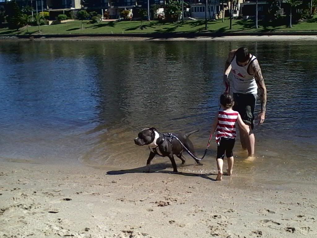 off leash jeckle and hide syndrome IMG_20130418_121526_zps23d71dbd