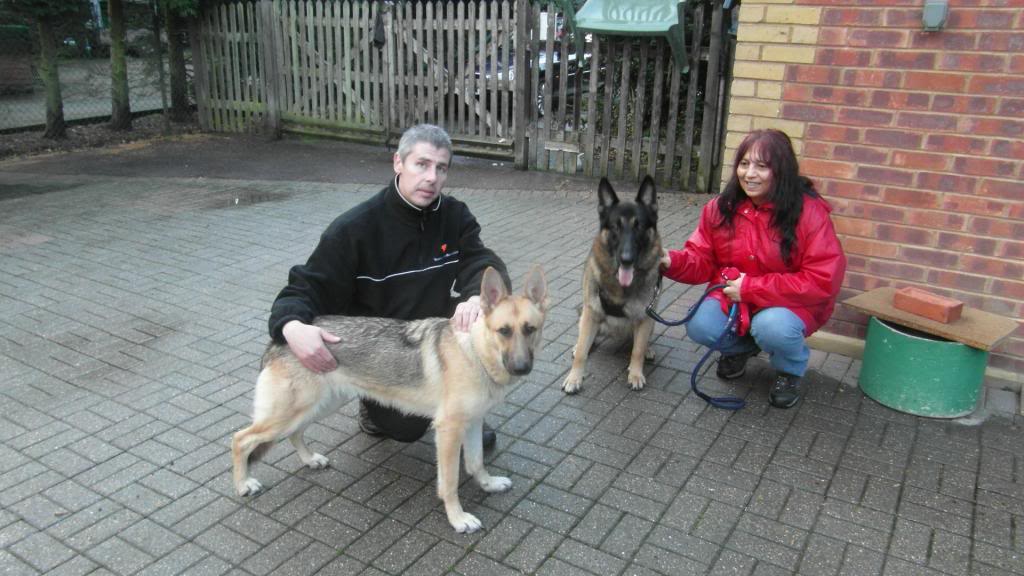 Nancy 1yr old on Wed October 16th homed Nancy_zps64853626