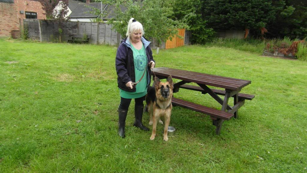 Sasha approx 2/3 years old Homed Thelovers001_zpsb7bdc6ba