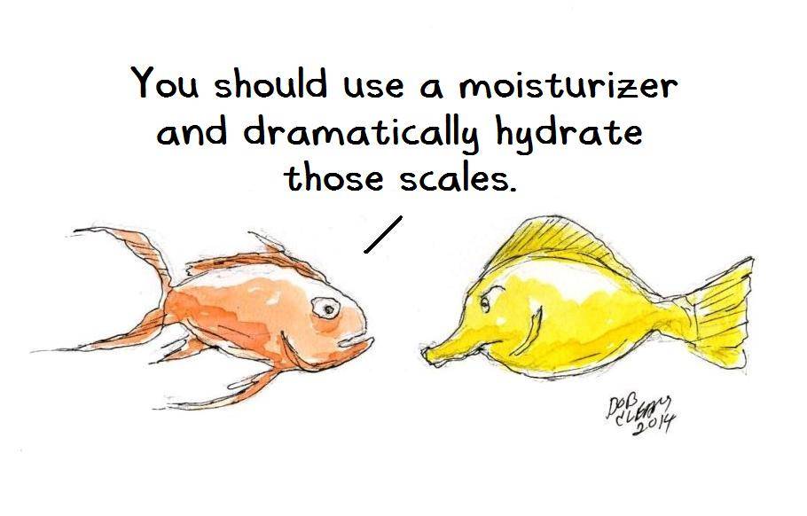 Fish Cartoons Cartoon101_zpse03278fc