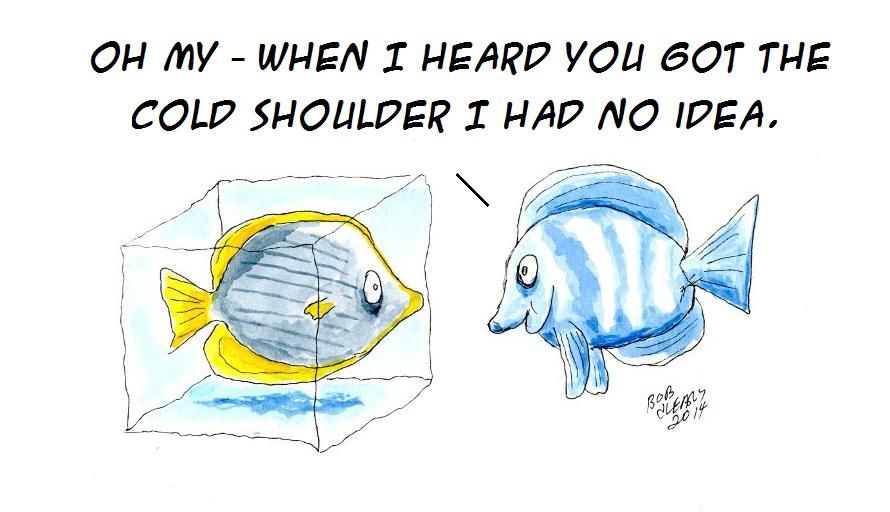 Fish Cartoons - Page 2 ColdShoulder2_zps283be350