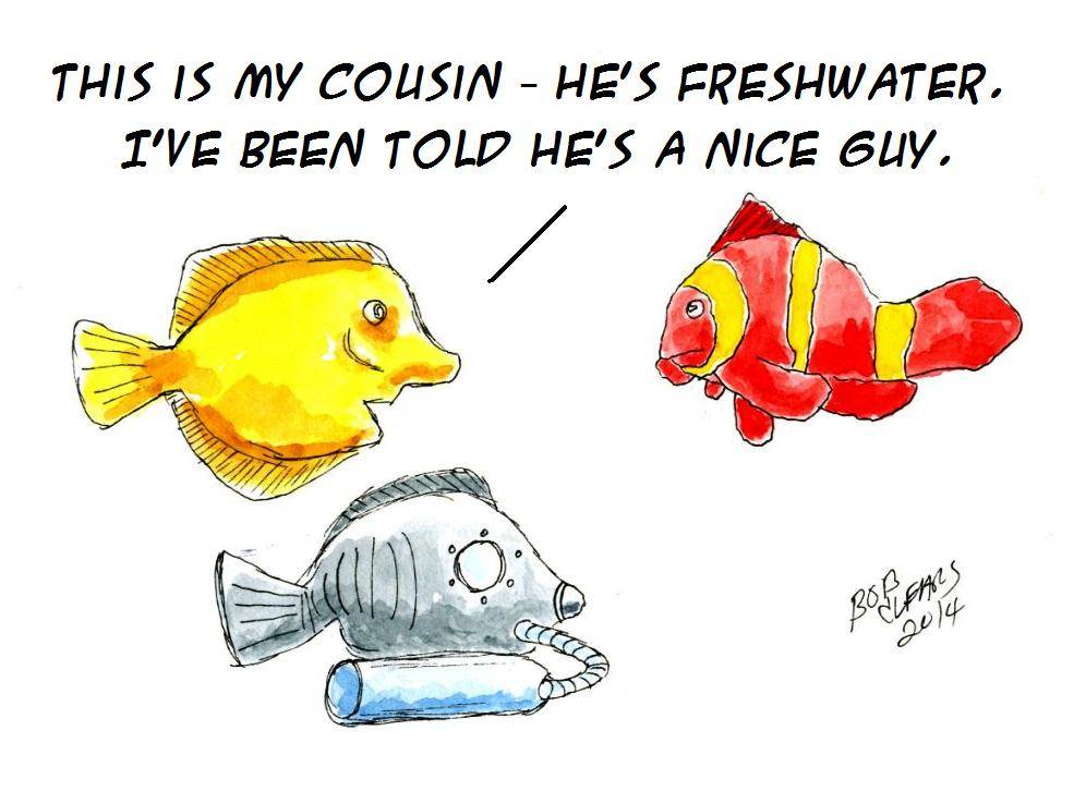 Fish Cartoons Cousins_zps255ada9f