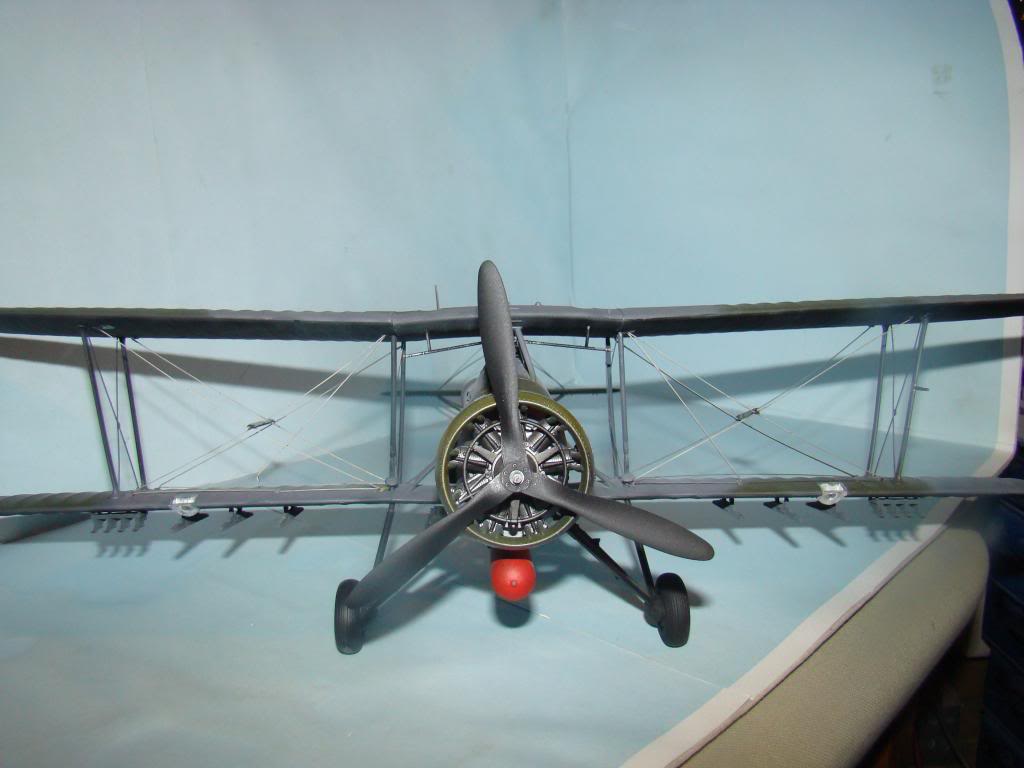 (Tassin) Swordfish au 1/32 FINI - Page 3 DSC04569_zpscb793b8c