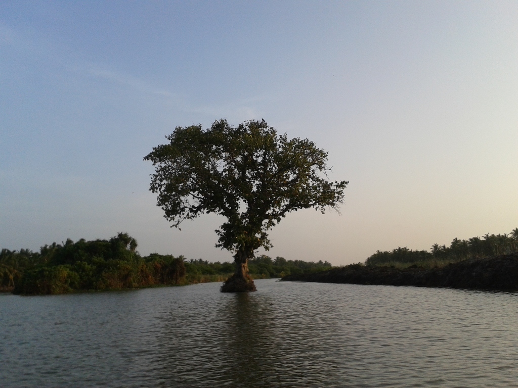 நண்பனின் வீட்டுக் குட்டிச் சுட்டிகளின் நிழற்படங்கள் அசைபடங்கள்.. - Page 14 20131230_171716_zpswkvqqmsg