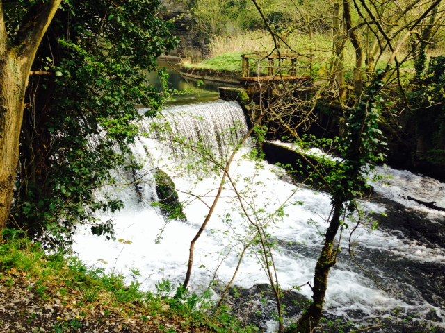 Today in the Peak District (pic heavy again!) Photo_zps605a7f05