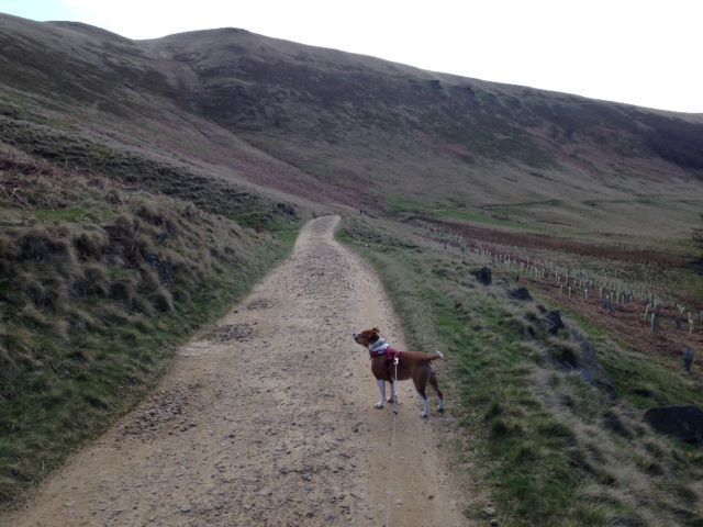 Today's walk at Derwent Valley(pic heavy)  Photo_zpsbfb0025f