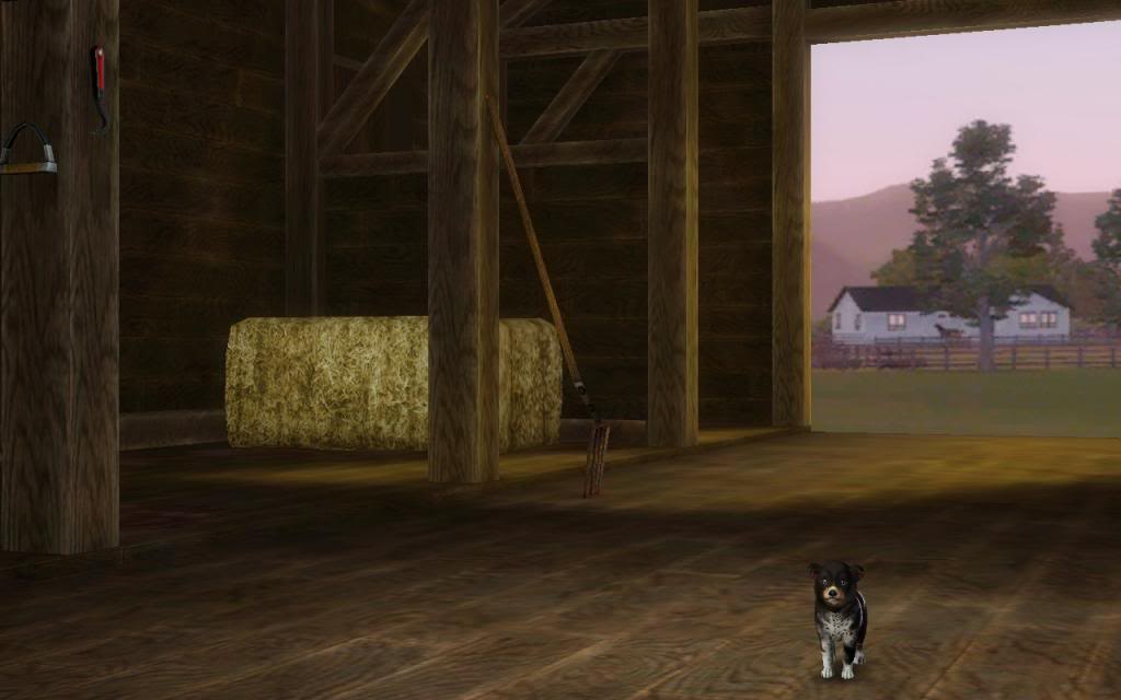 Angells Meadow Dogs Screenshot-168_zps545f6bba