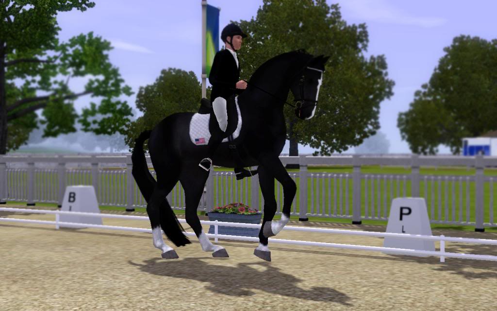 Hanoverian Stallion Licensing Inspections Sept-Oct Screenshot-200_zps6e0720de