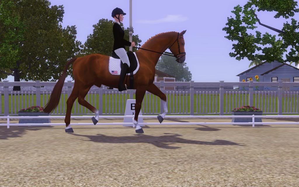 Hanoverian Stallion Licensing Inspections Sept-Oct Screenshot-201_zps0f61e1ec