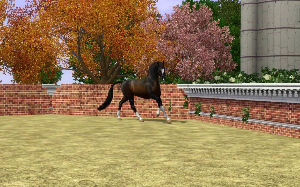 Nov-December Hanoverian Inspections Screenshot-216_zps518721b6