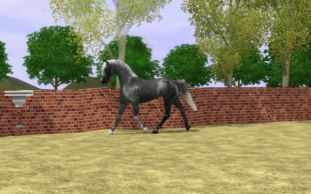 Nov-December Hanoverian Inspections Screenshot-219copy_zps5ef339e4