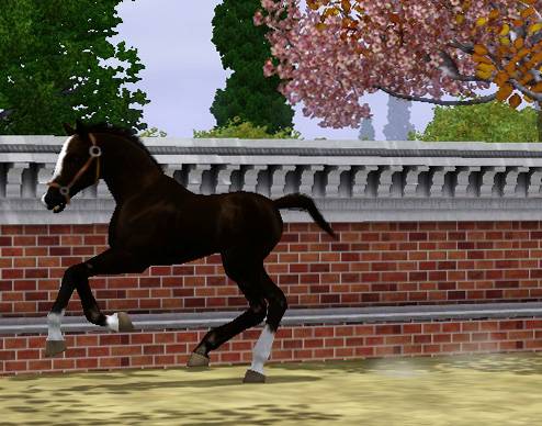 Nov-December Hanoverian Inspections Screenshot-232_zpsfb37ccb5