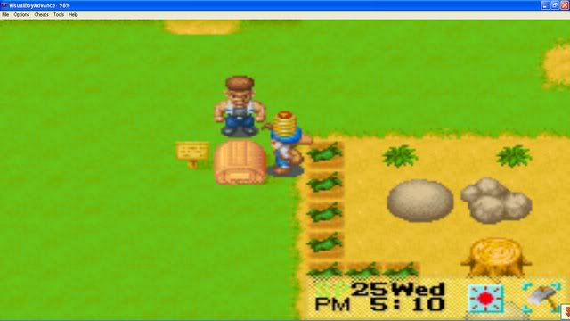 Harvest Moon : Friends Of Mineral Town Bn