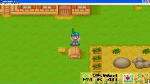 Harvest Moon : Friends Of Mineral Town Bn2