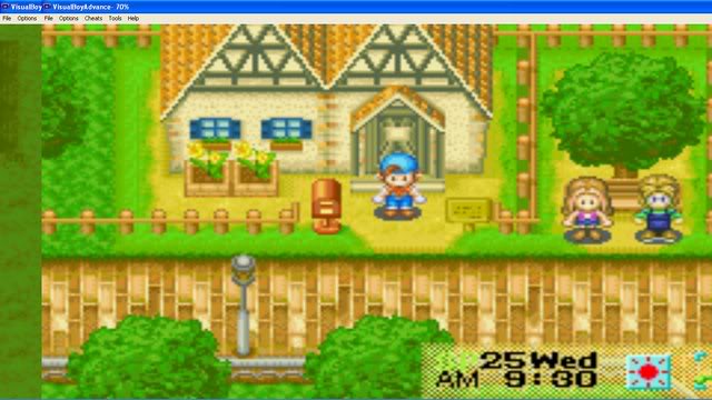 Harvest Moon : Friends Of Mineral Town Generalstore