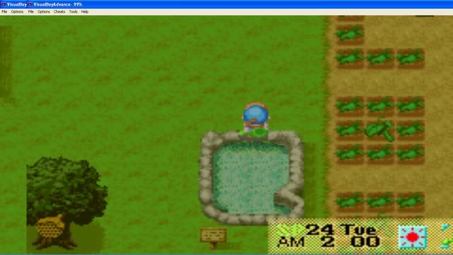 Harvest Moon : Friends Of Mineral Town Hngnc