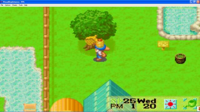 Harvest Moon : Friends Of Mineral Town Mtong