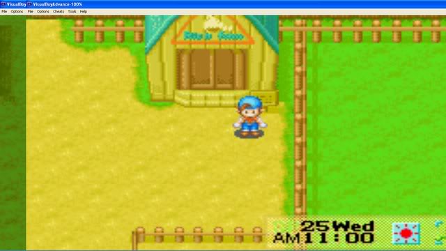 Harvest Moon : Friends Of Mineral Town Muag