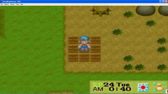 Harvest Moon : Friends Of Mineral Town Ng