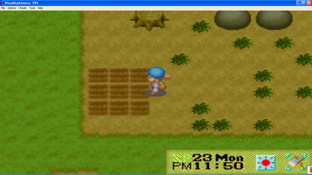 Harvest Moon : Friends Of Mineral Town O