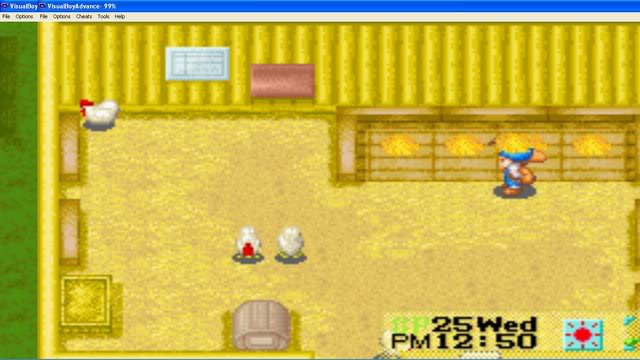 Harvest Moon : Friends Of Mineral Town Thcn2