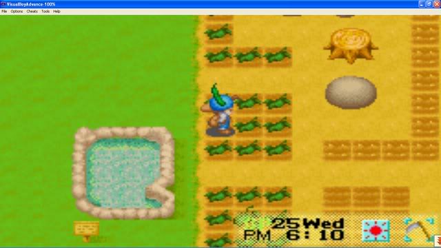 Harvest Moon : Friends Of Mineral Town Thuhoch2