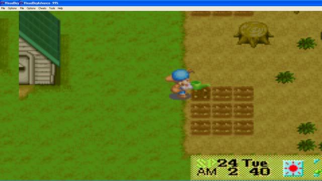 Harvest Moon : Friends Of Mineral Town Ti