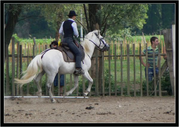 Cha mpionnat de france d'quitation camargue Championnatdefrance0818