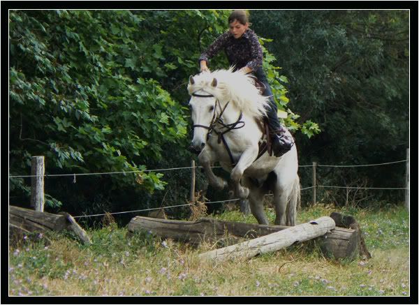 Cha mpionnat de france d'quitation camargue Championnatdefrance0821