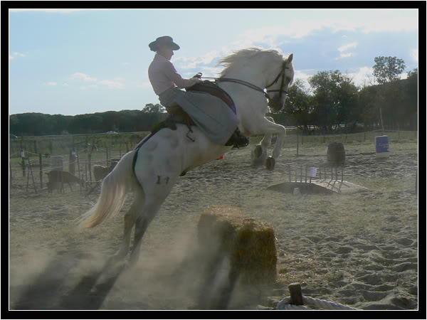 concours d'quitation camargue Ckconcoursdesdunes1