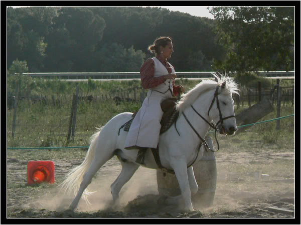 concours d'quitation camargue Ckconcoursdesdunes2