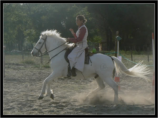 concours d'quitation camargue Ckconcoursdesdunes4