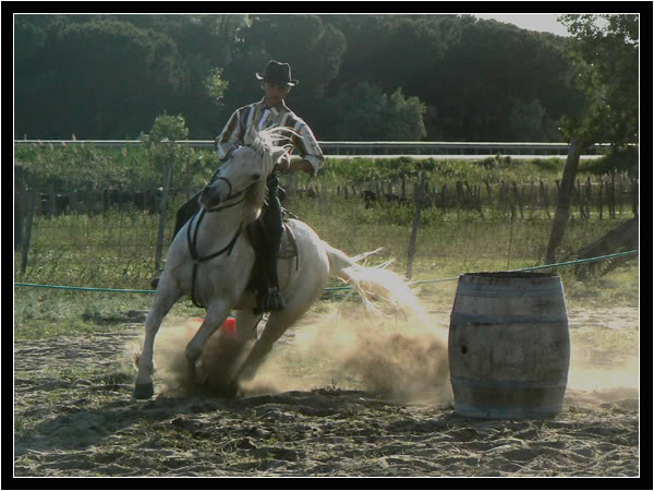 concours d'quitation camargue Ckconcoursdesdunes7