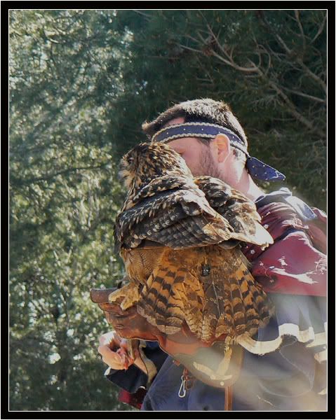 Rapaces de Beaucaire N°2 Rapacesdebeaucaires17