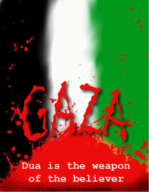 Graphics for Gaza/Palestine Gaza2