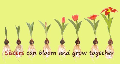 *Spice up your siggies* (Part 1) Bloomandgrow