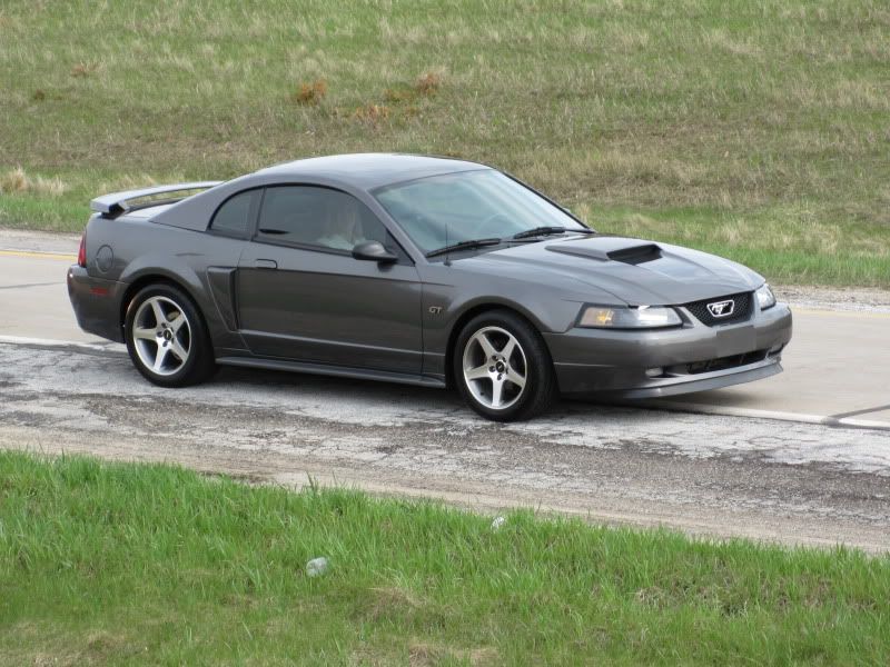 2003 Mustang GT - Super Nice and New Price!! IMG_5421