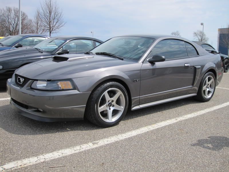 2003 Mustang GT - Super Nice and New Price!! IMG_5567