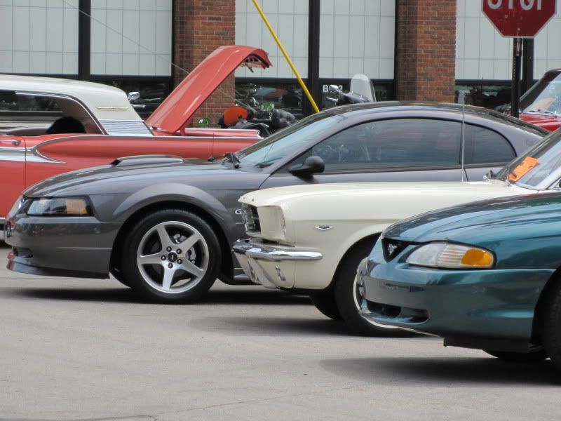 2003 Mustang GT - Super Nice and New Price!! IMG_6150