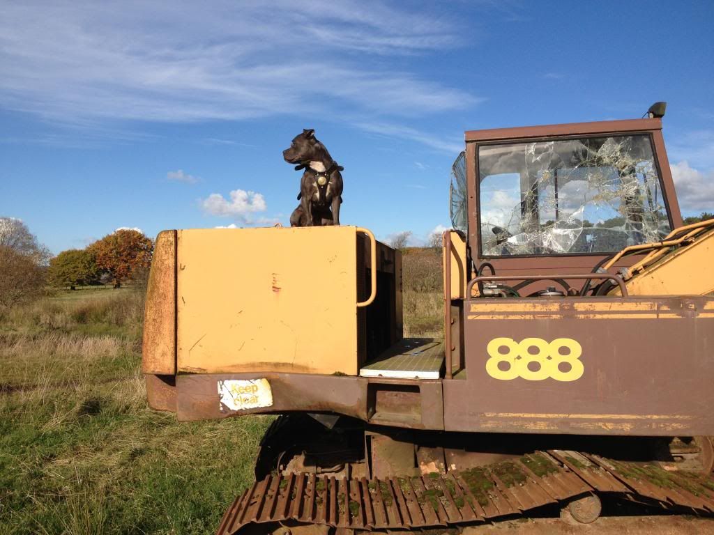 Pictures of Bloo on a old digger Bloox_zpsf2136fab