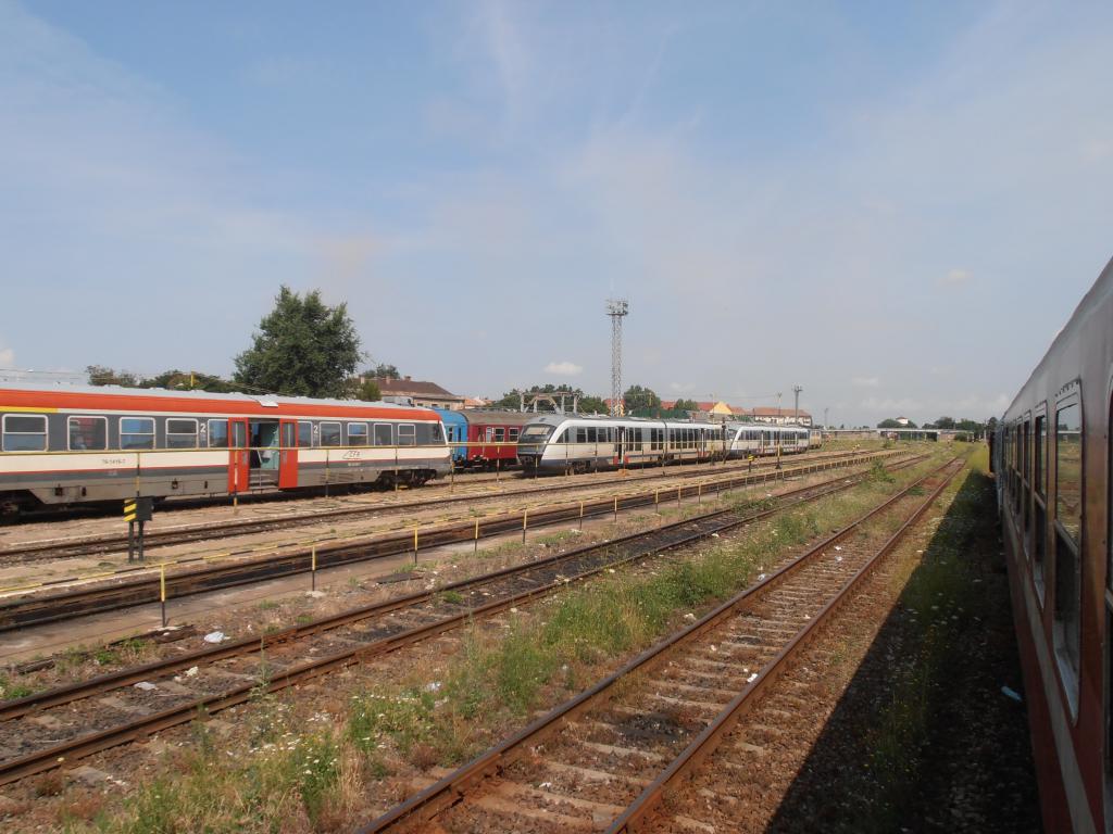 402 : Oradea - Carei - Satu Mare - Halmeu - Pagina 2 P1010308_zpsa743399d