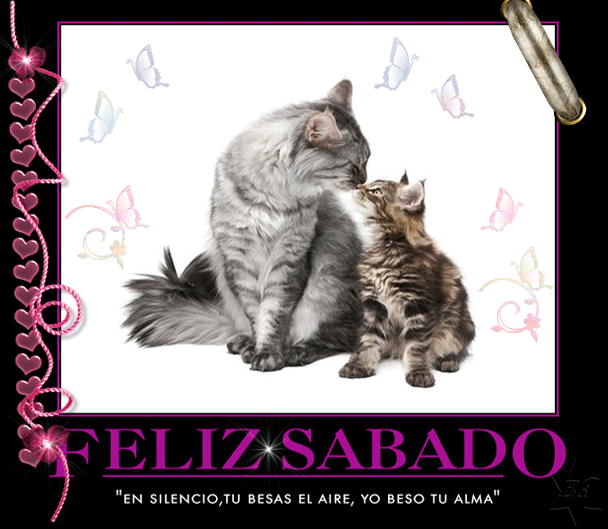 Gatos con corazon 6-sabado_zps44b3fcbf