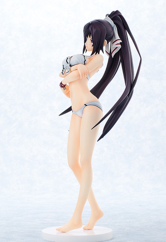 Houki Shinonono Swimsuit ver. -IS: Infinite Stratos 2- (Gift) -Reservas abiertas- HIE1398308008_zps32b5d9f1