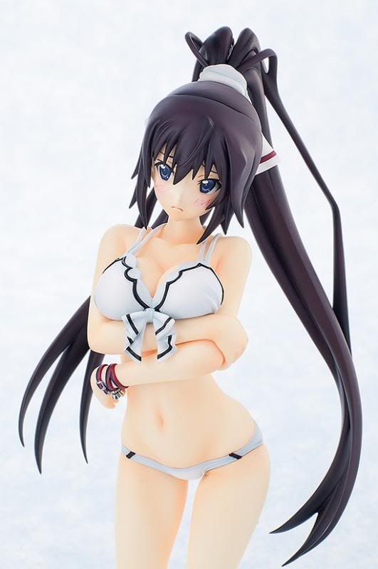 Houki Shinonono Swimsuit ver. -IS: Infinite Stratos 2- (Gift) -Reservas abiertas- HIE1398308051_zpsb73203b6