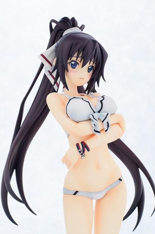 Houki Shinonono Swimsuit ver. -IS: Infinite Stratos 2- (Gift) -Reservas abiertas- HIE1398308053_zps7bfede10