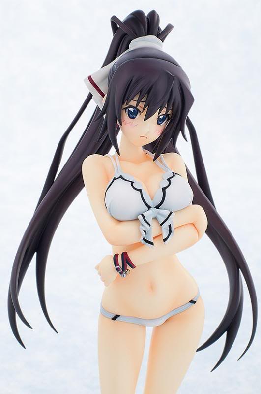 Houki Shinonono Swimsuit ver. -IS: Infinite Stratos 2- (Gift) -Reservas abiertas- HIE1398308055_zpse08fbe6f